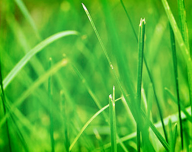 在线轰炸机免费版